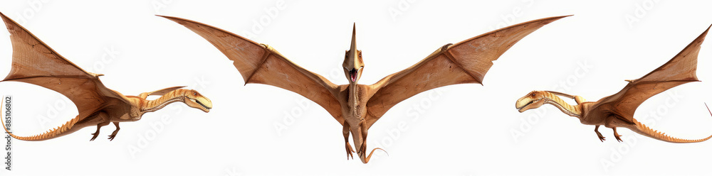 Naklejka premium flying Pterodactyls on white background, 