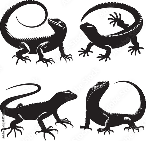 lizard silhouette, lizard icon, lizard vector, 