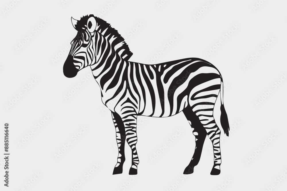 Fototapeta premium zebra vector illustration