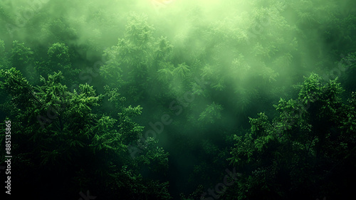 Wallpaper Mural Aerial view of foggy forest canopy Torontodigital.ca