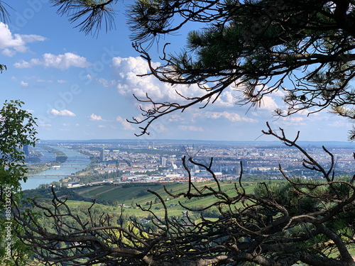 Photography Vienna from a view from Kahlenberg including Danube with trees in the front