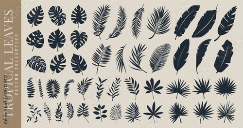 Tropical forest leaf, botanical flower plant, branch, banana and palm leaves silhouette set. Leaf pattern or wedding spa element line art. Summer beach or spring garden leaf. Floral decoration symbol.