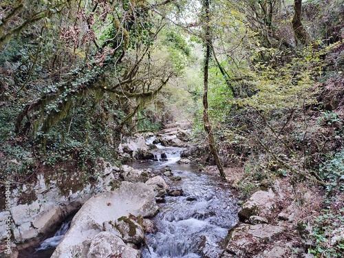 Obraz na płótnie Morigerati - Fiume Bussento nell'Oasi WWF Grotte del Bussento w salonie