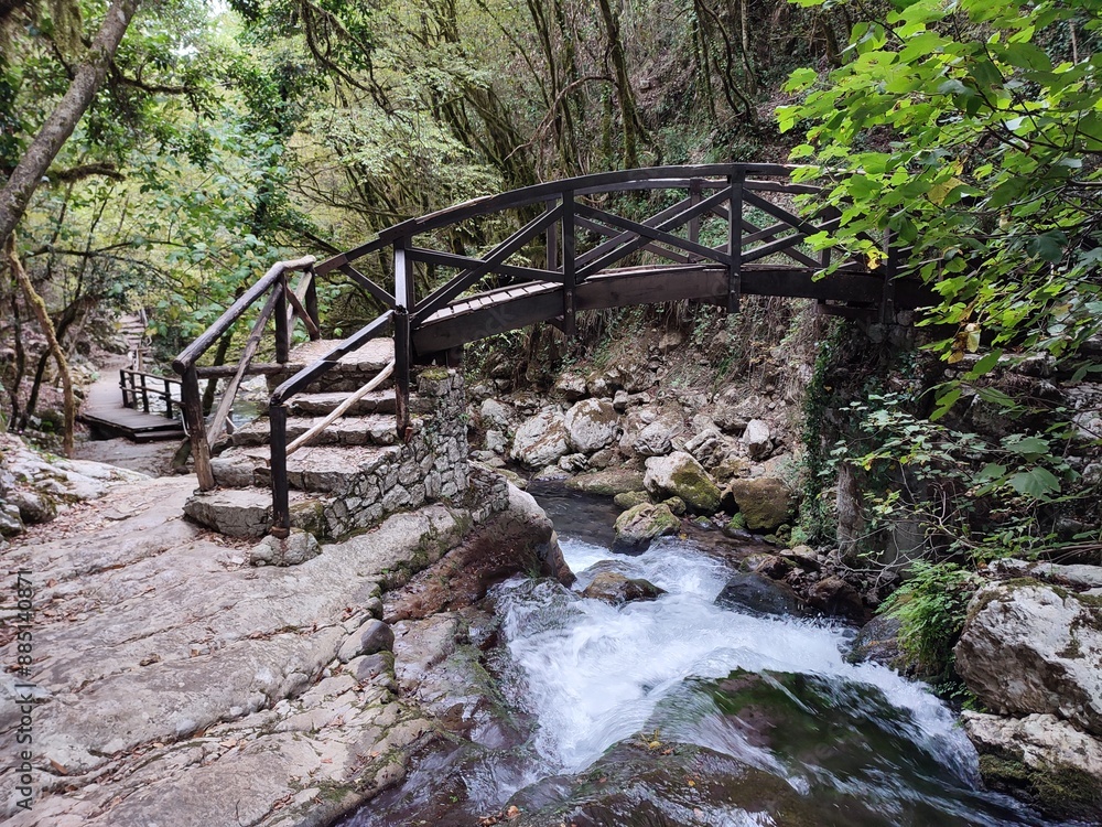 Morigerati - Ponte in legno sul Fiume Bussento nell'Oasi WWF