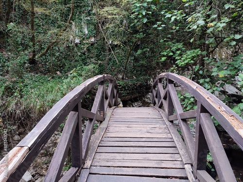 Obraz na płótnie Morigerati - Ponte sul Fiume Bussento nell'Oasi WWF w salonie