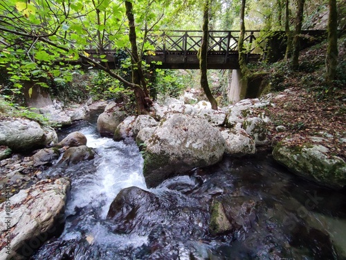 Obraz na płótnie Morigerati - Scorcio del ponte dal Fiume Bussento nell'Oasi WWF w salonie