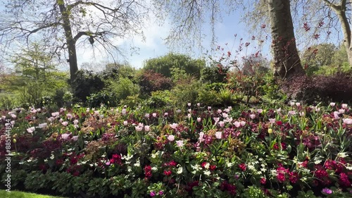 Wallpaper Mural Flower Arrangement City Park Meadow in Summer Torontodigital.ca