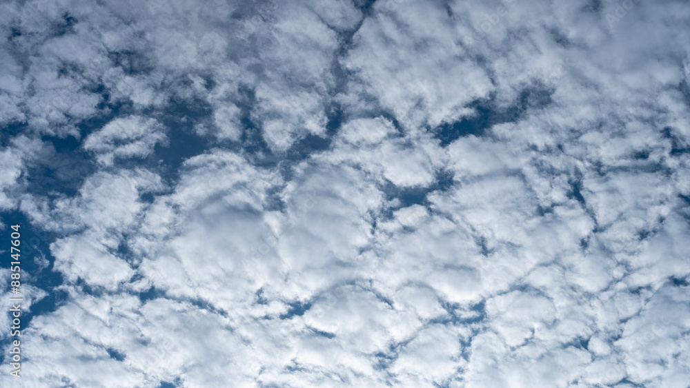 High resolution wallpaper with the concept of Cirrocumulus clouds in the morning with a clear blue sky. Nature and sky themed background concept High resolution wallpaper with the concept of Cirrocumulus clouds in the morning with a clear blue sky. Nature and sky themed background concept