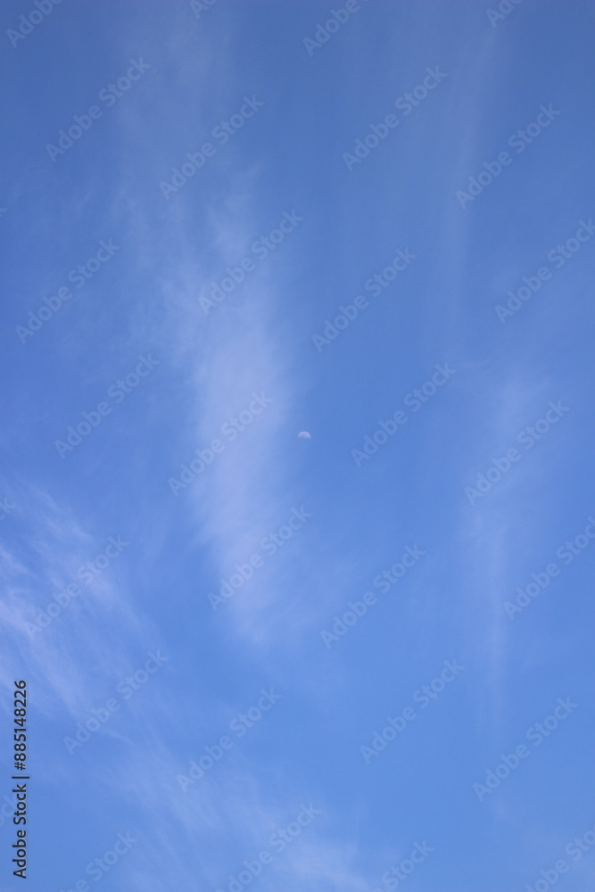 上弦の月 月のある景色 上弦の月 月のある景色