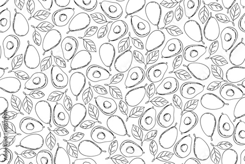 seamless pattern avocado vector drawing