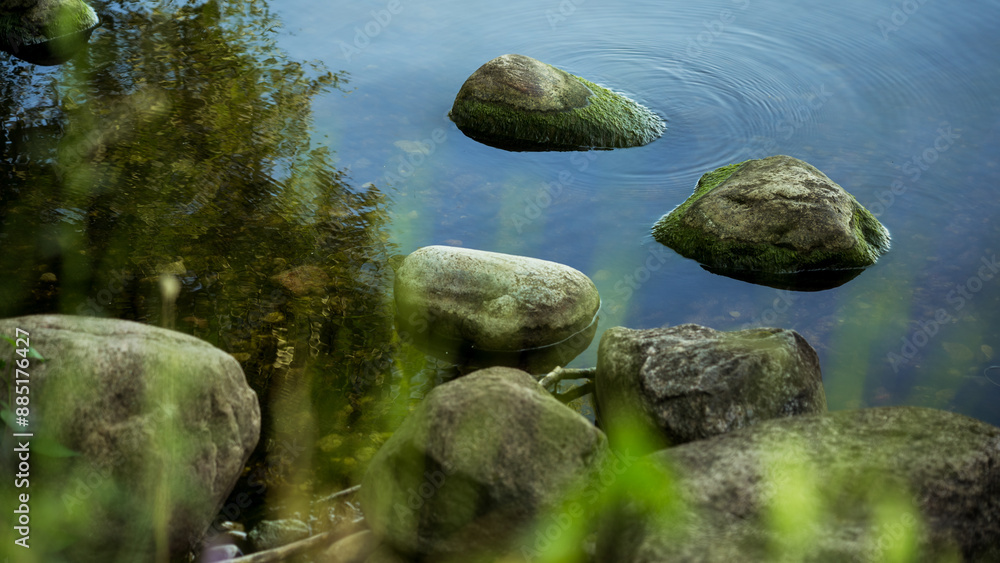 The rocks on the lake shore are covered with algae The rocks on the lake shore are covered with algae