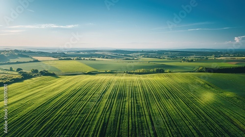 Capture an expansive aerial view of lush green farmland stretching to the horizon, under a clear blue sky.