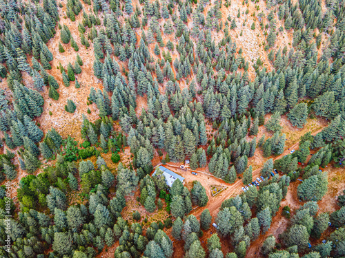 The scenic view of Cedar Forest Research Institute in Çamkuyular, Elmalı, Turkey photo