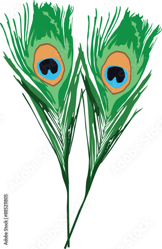 mor pankh drawing or clipart illustration isolated on white background—beautiful Krishna mor pankh illustration png.

 