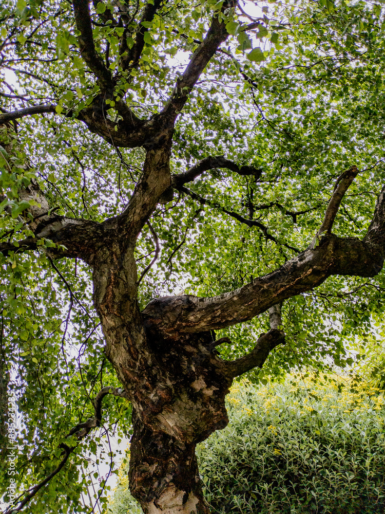 Fototapeta premium Edinburgh, Scotland