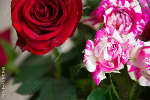 薔薇の花束