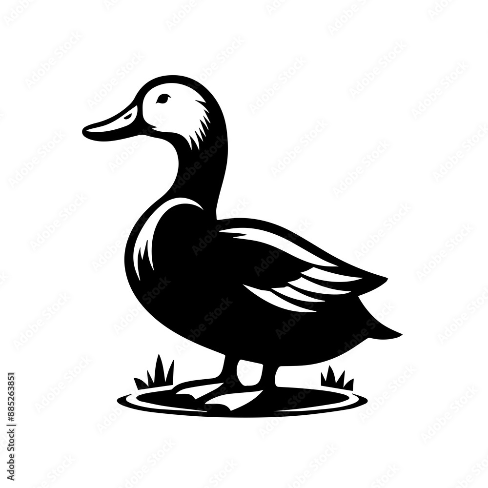 A duck is a waterfowl known for its broad bill, webbed feet, and quacking sound. Ducks are found in freshwater habitats, exhibiting colorful plumage and social behavior. A duck is a waterfowl known for its broad bill, webbed feet, and quacking sound. Ducks are found in freshwater habitats, exhibiting colorful plumage and social behavior.