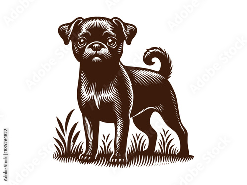 Petit Brabancon. Cute dog. Vintage black engraving illustration. Icon, logo, emblem. Isolated object. Print. 	 photo