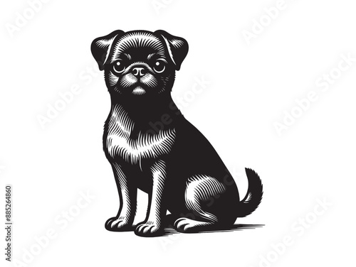 Petit Brabancon. Cute dog. Vintage black engraving illustration. Icon, logo, emblem. Isolated object. Print. 	