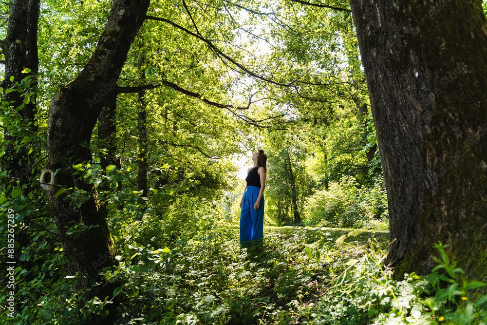 Woman exploring amidst trees in park Woman exploring amidst trees in park