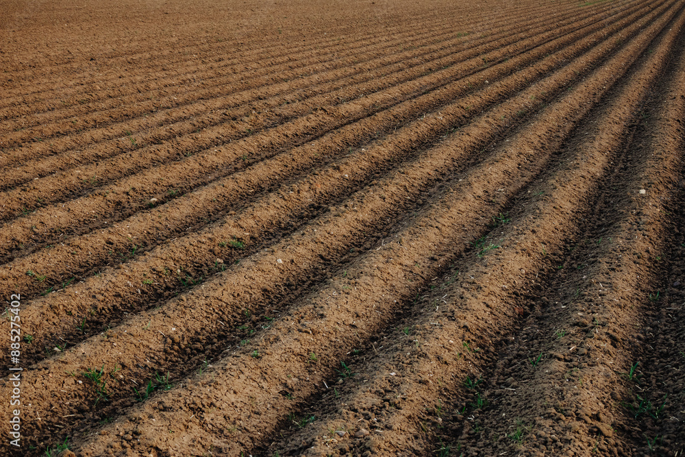 Abstract Pattern of a Plowed and Prepared Field Abstract Pattern of a Plowed and Prepared Field