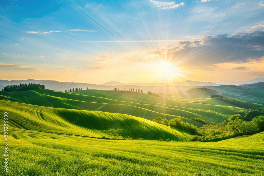 Obraz premium Sunrise over Rolling Green Hills