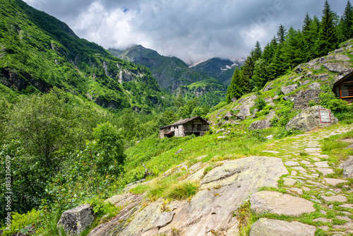 Tableau sur toile Panorama of the valley of Sesia, at the slopes of the peaks of Northern Italy Alps (Monte Rosa Massif, the 2nd highest mountain of Europe), during early summer
