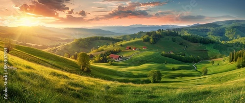 A colorful summer pastoral landscape, full of tall flowering grass on green meadow, with a blue sky in the background.