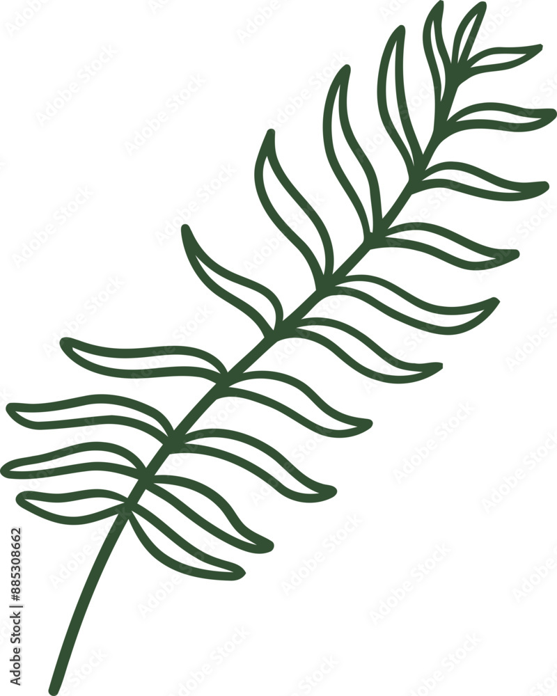 fern line illustration organic design fern line illustration organic design