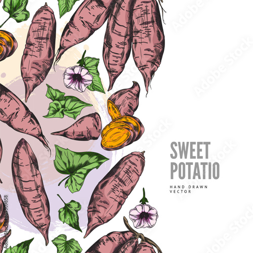 Seamless vector border of Japanese sweet red potatoes.