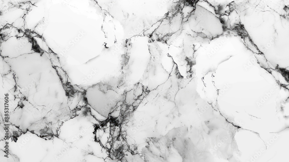White Marble Texture with Black Veins White Marble Texture with Black Veins