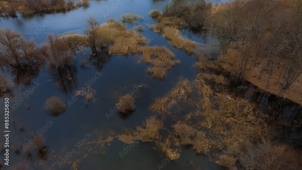 aerial autumn swamp landscape dusk mystic October wilderness pond water depressive country side nature scenic view aerial autumn swamp landscape dusk mystic October wilderness pond water depressive country side nature scenic view