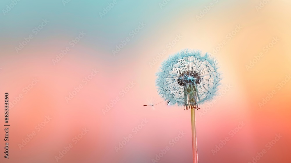 Obraz premium A floating dandelion in the midst of a serene pastel sunrise AI generated illustration