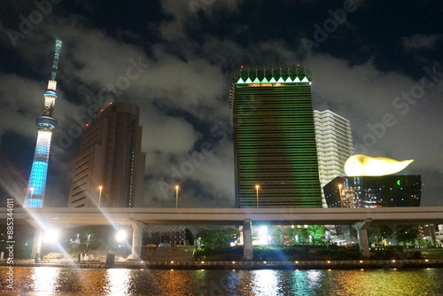 Night Tokyo. Sumida River