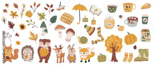 Fall animals bundle with leaves and other seasonal items and clothes, things. Childrens forest wild animals with harvest clipart elements. Hand drawn big set of autumn stickers.