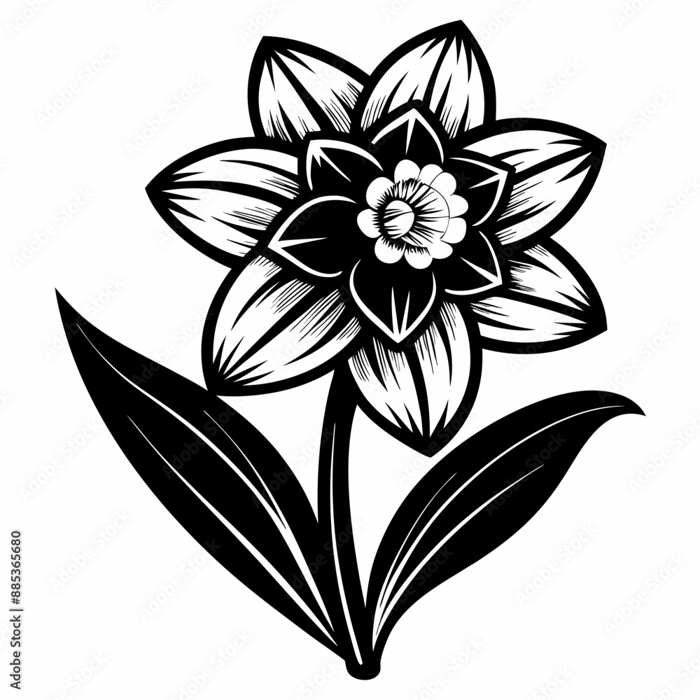 illustration of a plants and flowers illustration of a plants and flowers