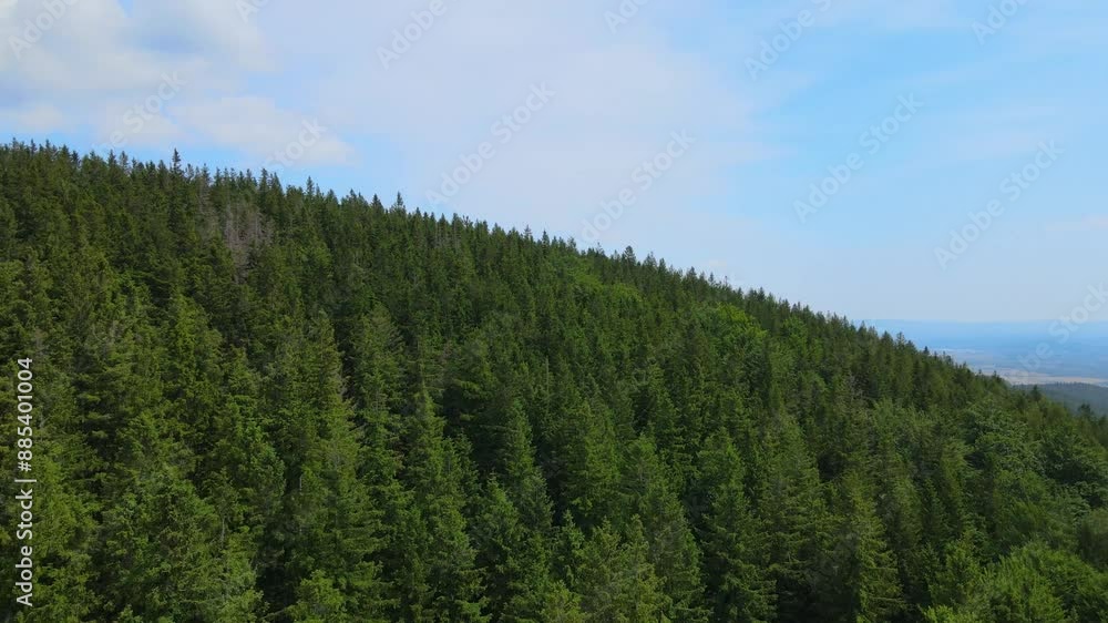 mountains forest Flight over Drone coniferous trees Bavaria Germany mountains forest Flight over Drone coniferous trees Bavaria Germany
