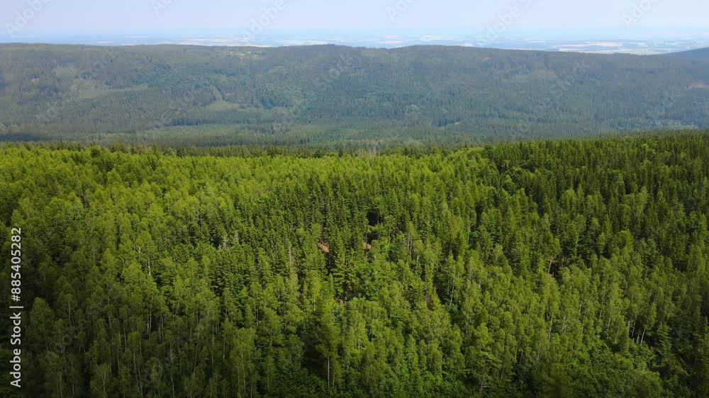 mountains forest Flight over Drone coniferous trees Bavaria Germany mountains forest Flight over Drone coniferous trees Bavaria Germany