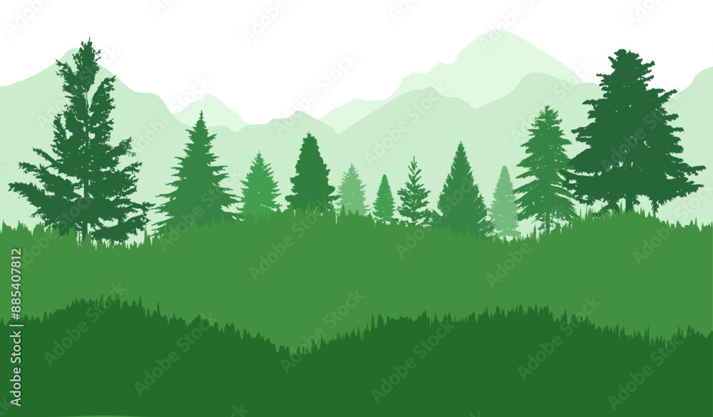 Fototapeta premium Spruce forest landscape silhouette. Pine forest landscape silhouette