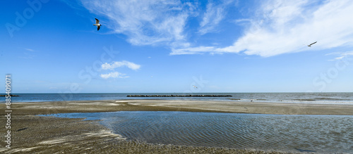 Obraz na płótnie Beach along gulf beach highway 82 near Mae's Beach Louisiana w salonie