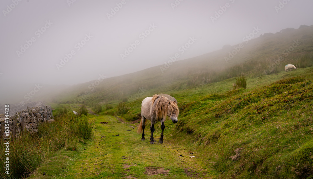 Fototapeta premium Walking the Pilgrims Way in North Wales Uk