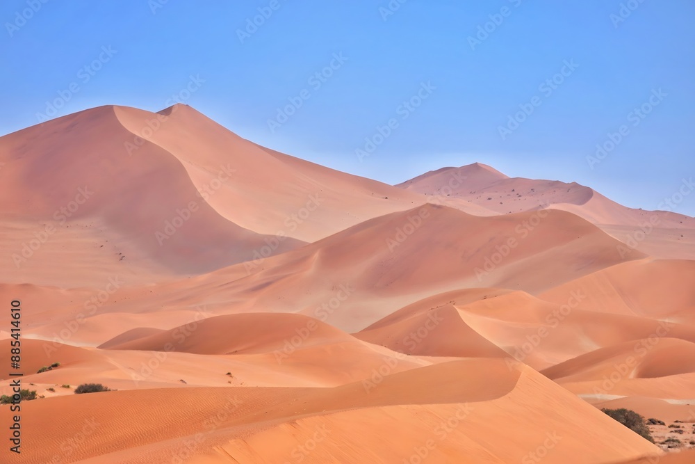 Naklejka premium Expansive Desert Sand Dunes