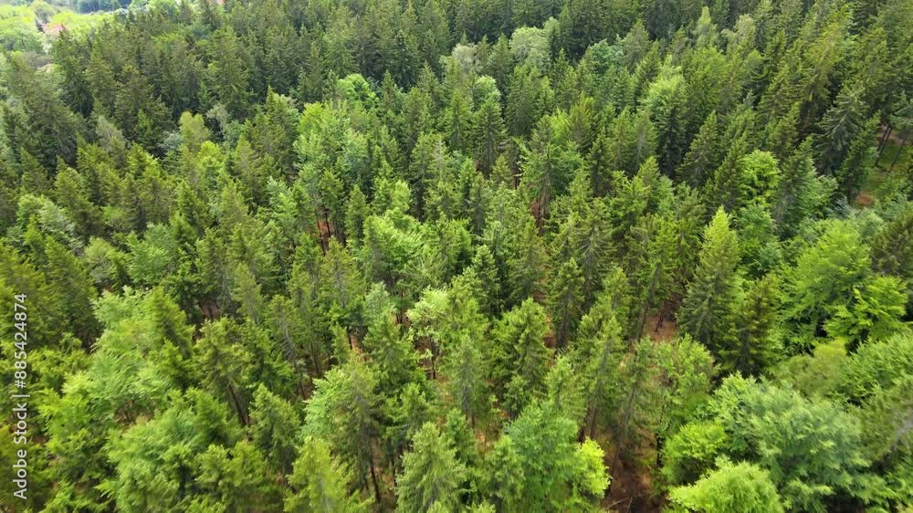 mountains forest Flight over Drone coniferous trees Bavaria Germany mountains forest Flight over Drone coniferous trees Bavaria Germany