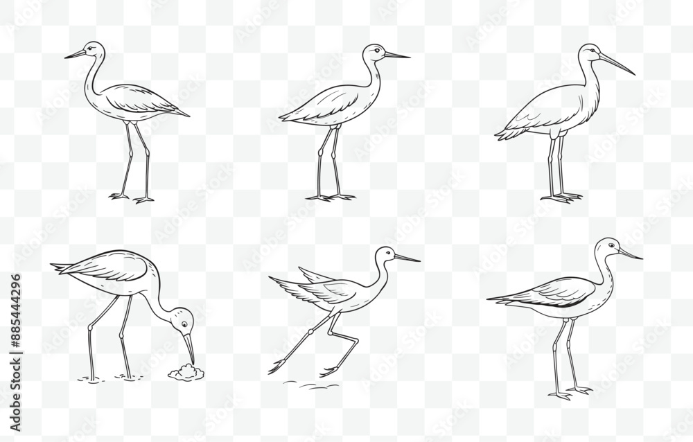 Obraz premium Print Stilt Line Art Vector Set Elegant and Detailed Stilt Bird Illustrations for Art and Design Projects