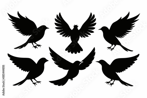 A set of bird in flight silhouette black vector artwork illustration