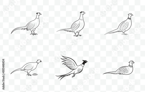 Print Comprehensive Pheasant Line Art Vector Collection for Designers and Artists