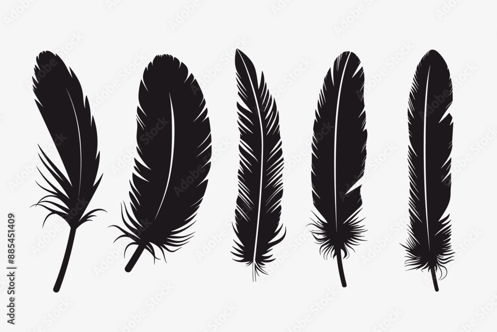 Abstract Vector Set of Bird Feather Silhouette Icons Pack Design Template Abstract Vector Set of Bird Feather Silhouette Icons Pack Design Template
