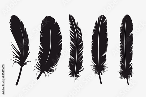 Abstract Vector Set of Bird Feather Silhouette Icons Pack Design Template