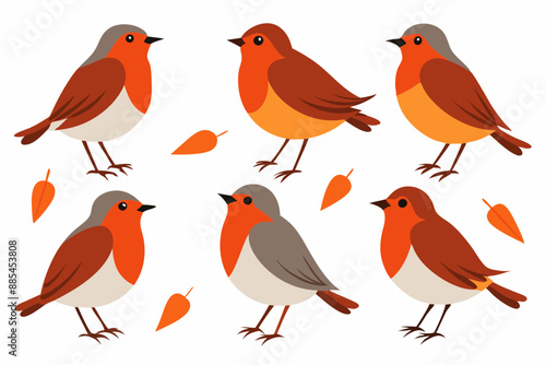 A set of bird robin with different poses vector art illustration