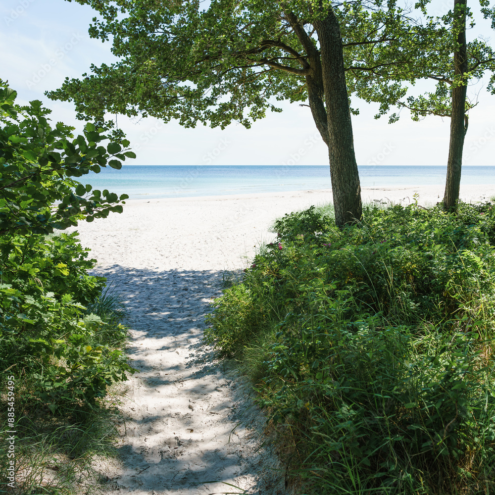 Sandiger Ostseestrand auf der Insel Bornholm Sandiger Ostseestrand auf der Insel Bornholm